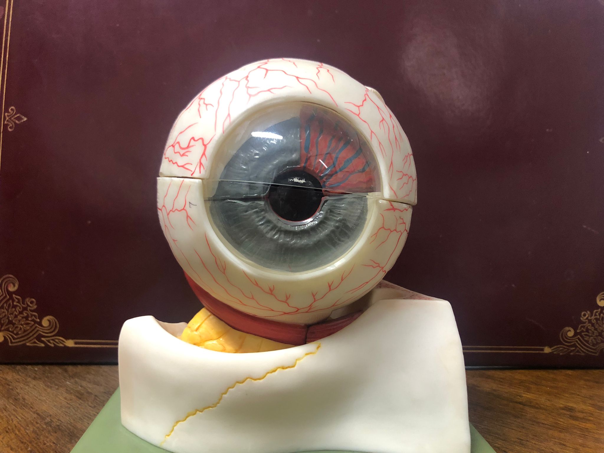 Optometría pediátricas comportamental
